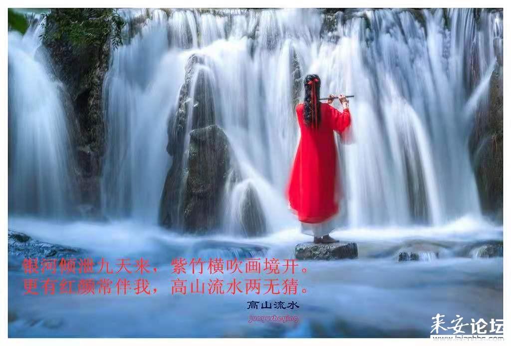 【专业问答】tplink安防错误代码2011?-搞定你的疑问